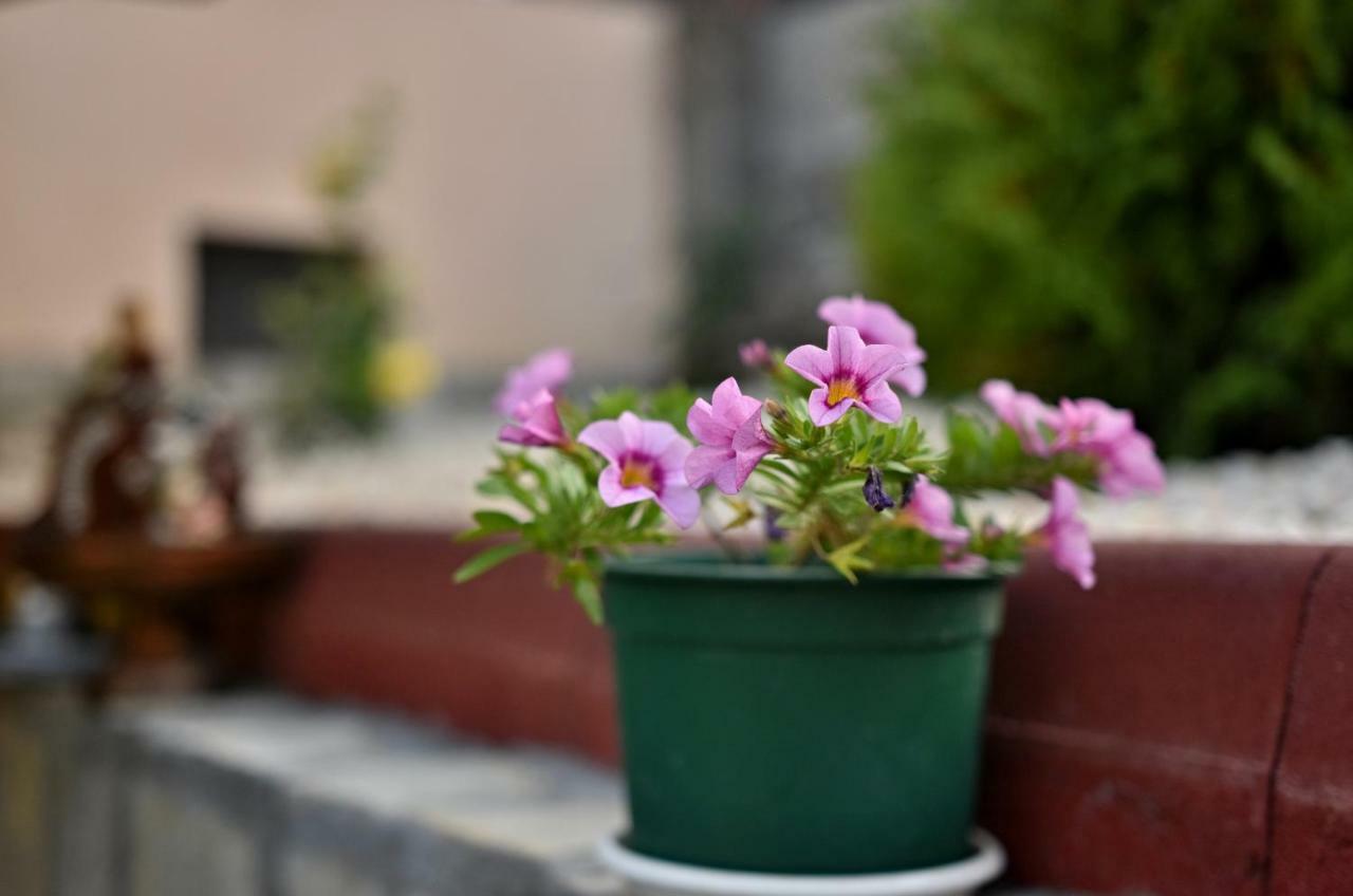 Saint Maria Guest House Velingrad Dış mekan fotoğraf